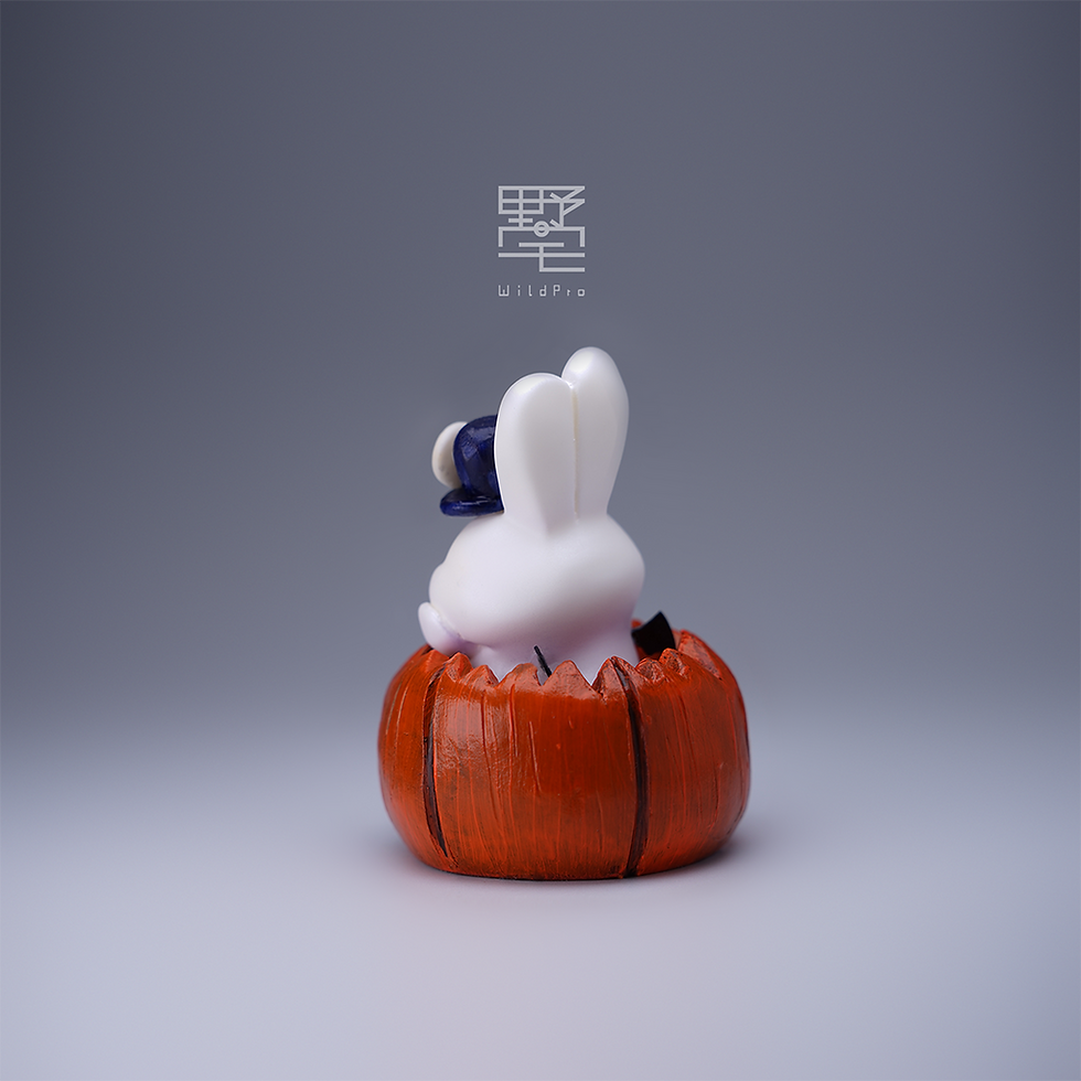 縮圖：Tooz - Wizard & pumpkin