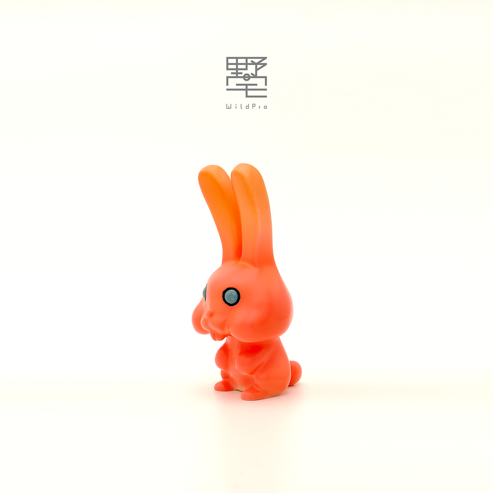 縮圖：Tooz - Living Coral
