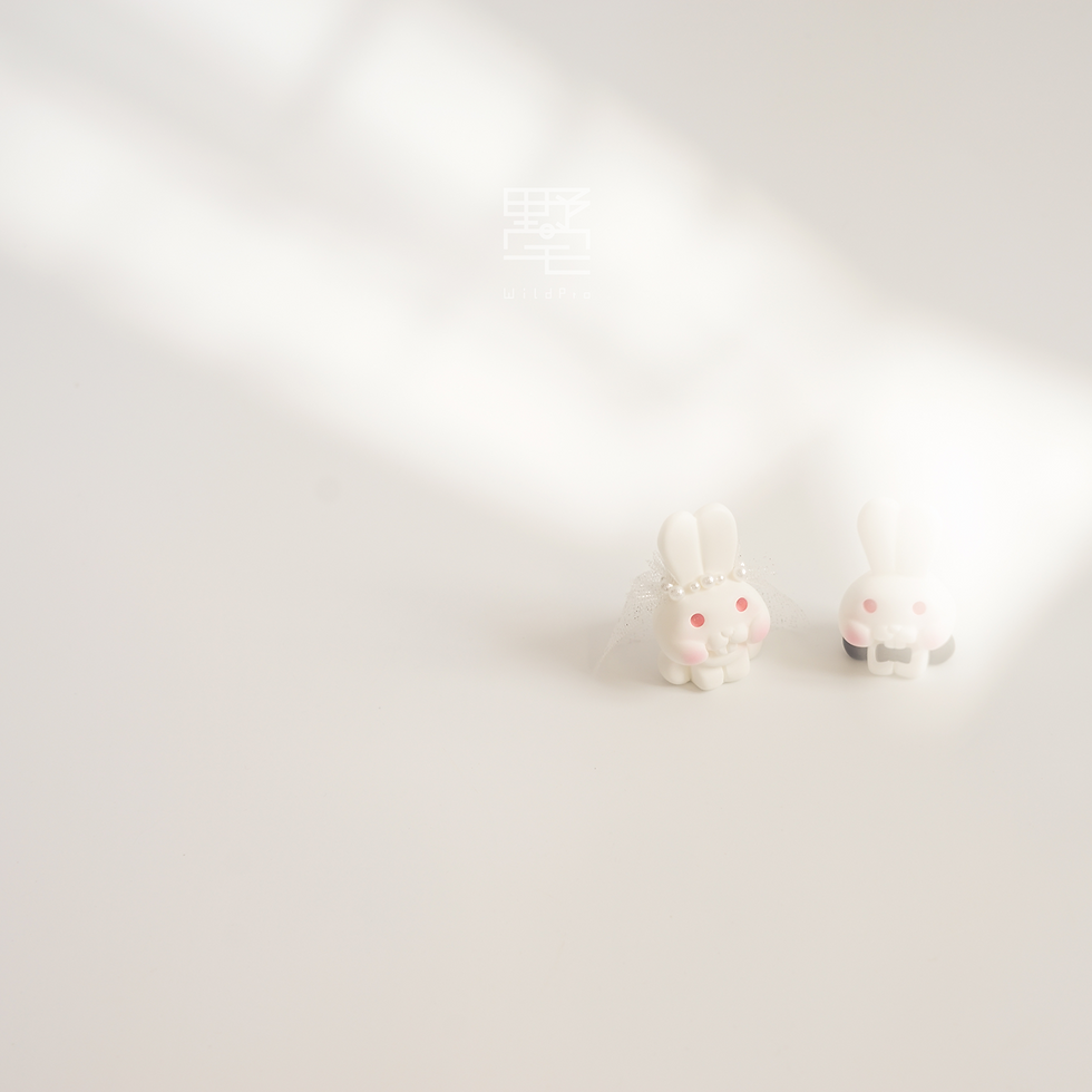 縮圖：Tooz - The beginning