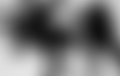 DAIDO MORIYAMA, Il cane randagio della fotografia