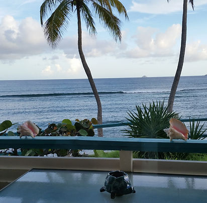 Prime Oceanfront Patio, Short Walk Path to Pool