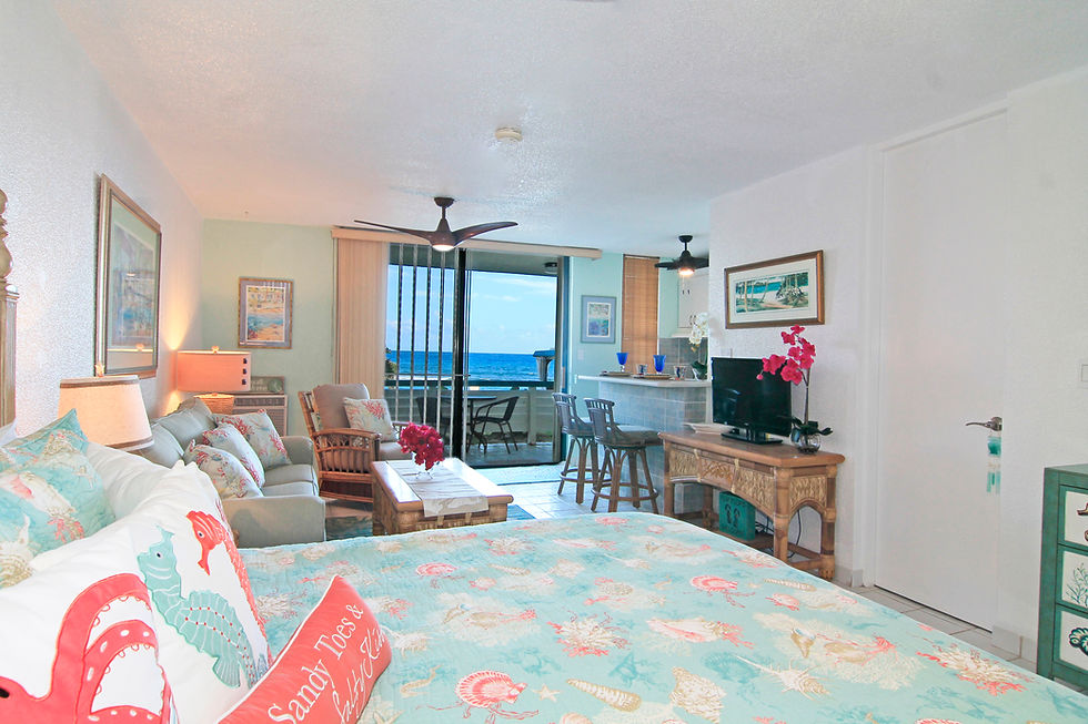 Newly remodeled oceanfront Studio