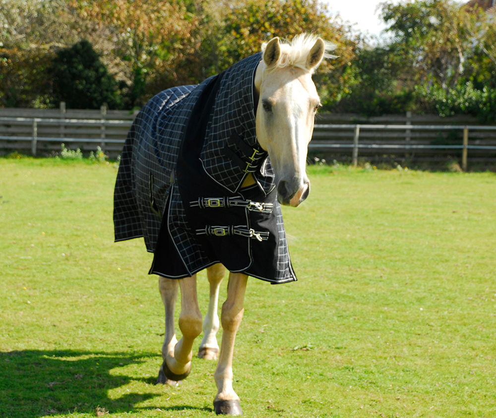 Full Neck Montpelier Outdoor Rug