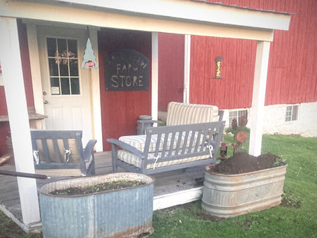 Watching Spring Unfold