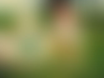 Doing Dishes and the Culture of Kitchen Clean Up