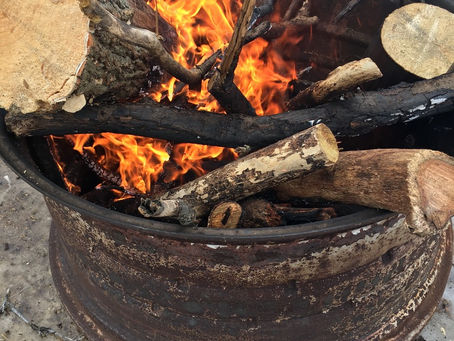 Spring in Wisconsin - Three Things