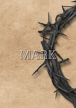 Mark (3).png