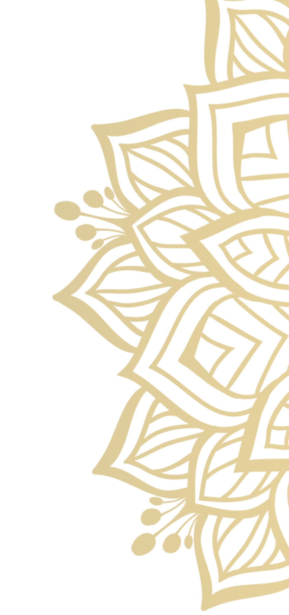 427498174-vector_edited.jpg