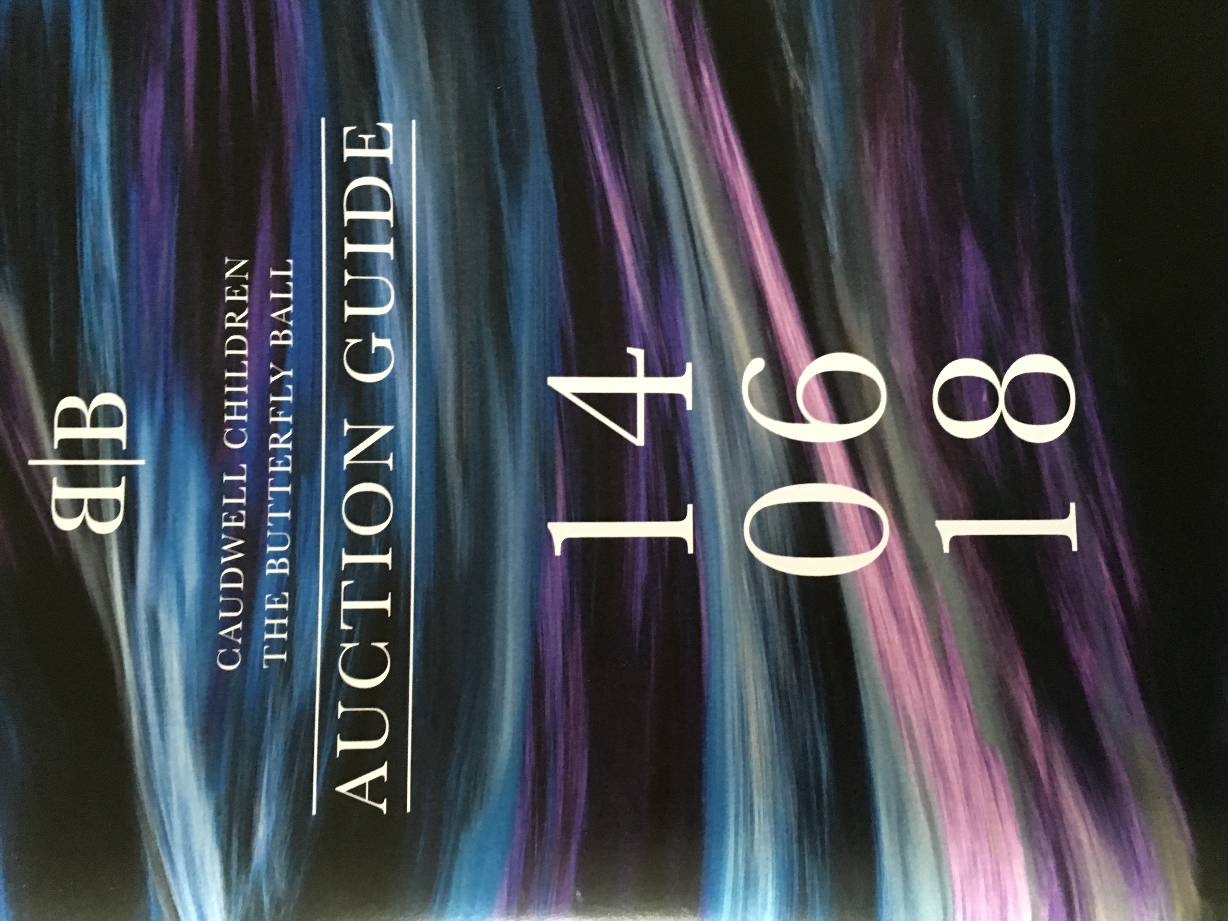 Caudwell's Children Galal Auction