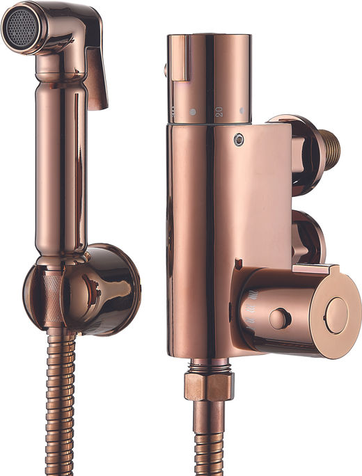 All-In-One Thermostatic Brass Douche Set