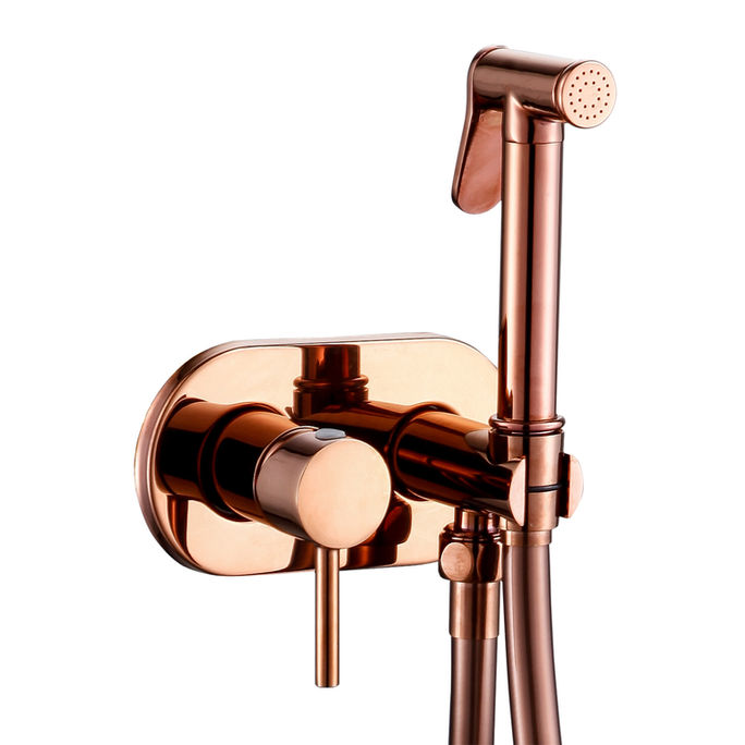 Aero Concealed Brass Douche Set