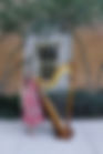 file1.jpeg