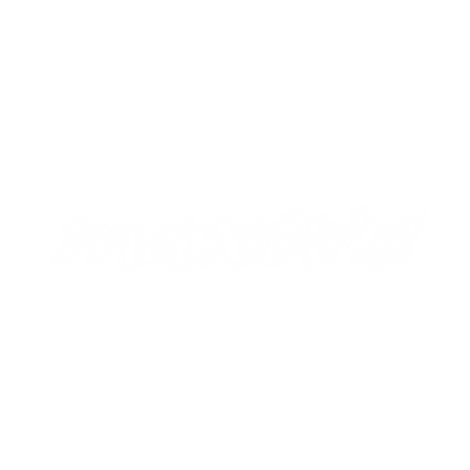 logo maxtris png
