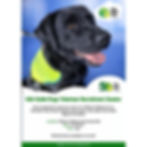 Irish Guide Dogs Volunteer Recruitment Session