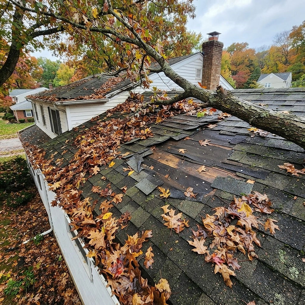The Domino Effect: How Clogged Gutters and Overhanging Trees Can Damage Your Roof