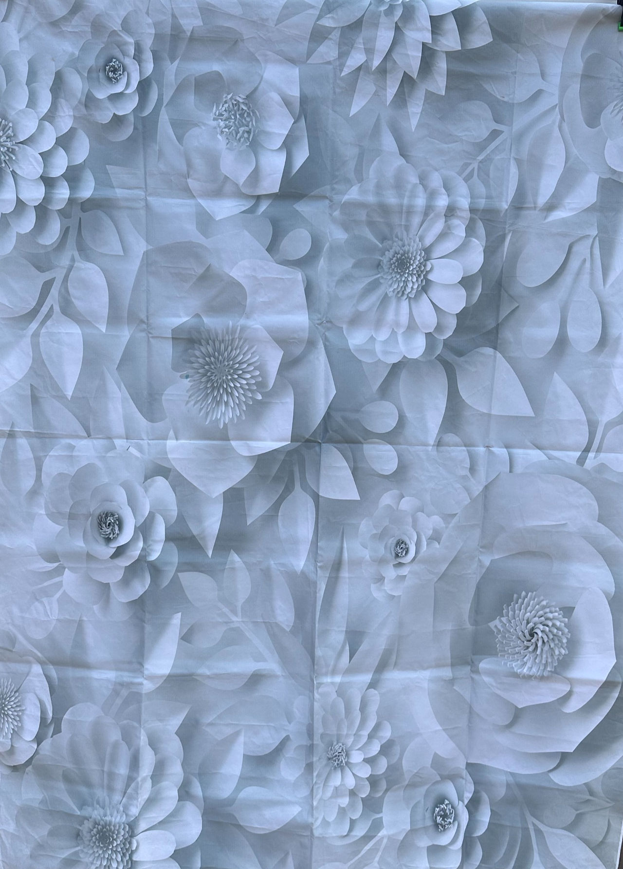 Small White Flower Backdrop- Photo Booth Backdrop Rental Winnipeg and Southern Manitoba