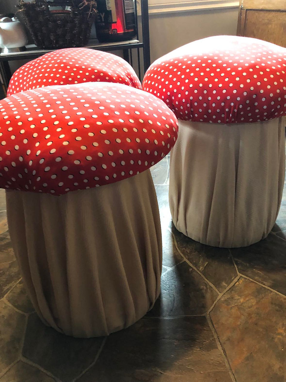 Mushroom Stools for kids to on, May 7th 2023, Madox’s Warriors Foundation Kids Dance, St.Norbert, Manitoba