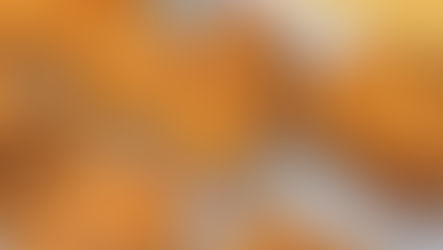 SOUTHERN FRIED CLASSICS