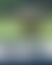 恭喜2026再興潘政琮AJGA國際系列賽冠軍John Kang口頭承諾內華達大學