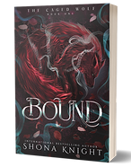 Bound-paperback.png