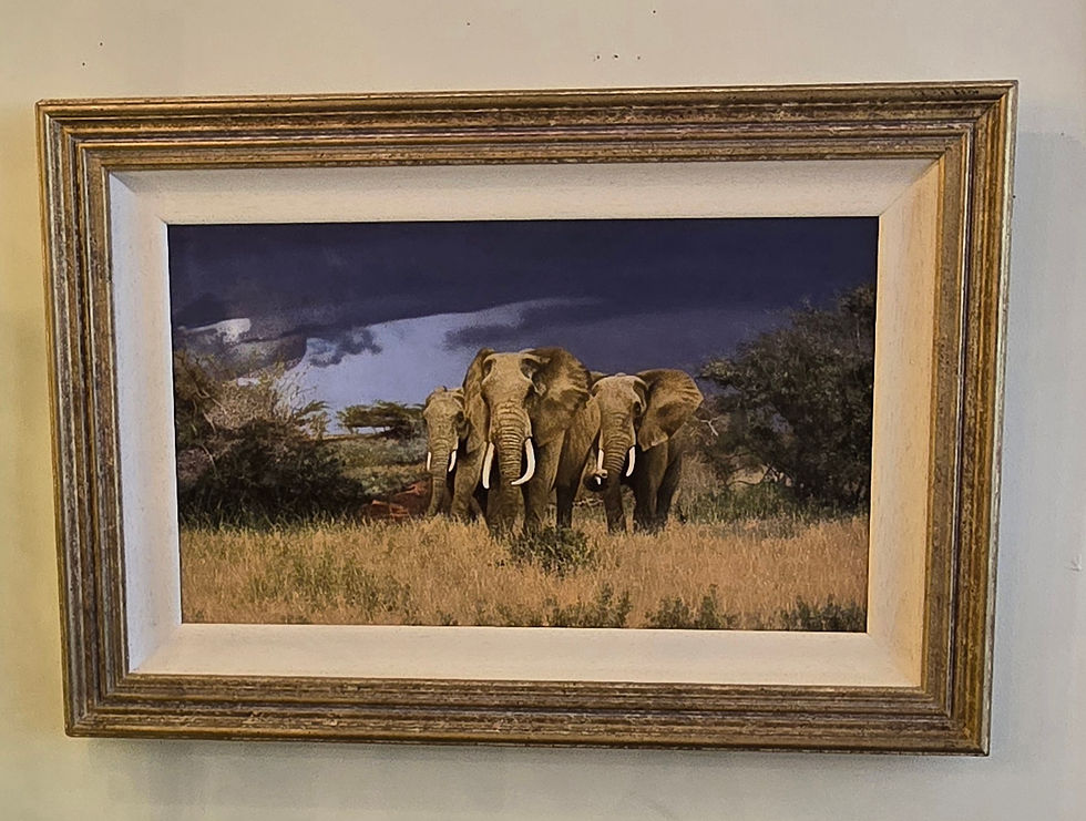 Vintage Oil On Board Wildlife Painting Of A Herd Of Elephants By Stephen Park