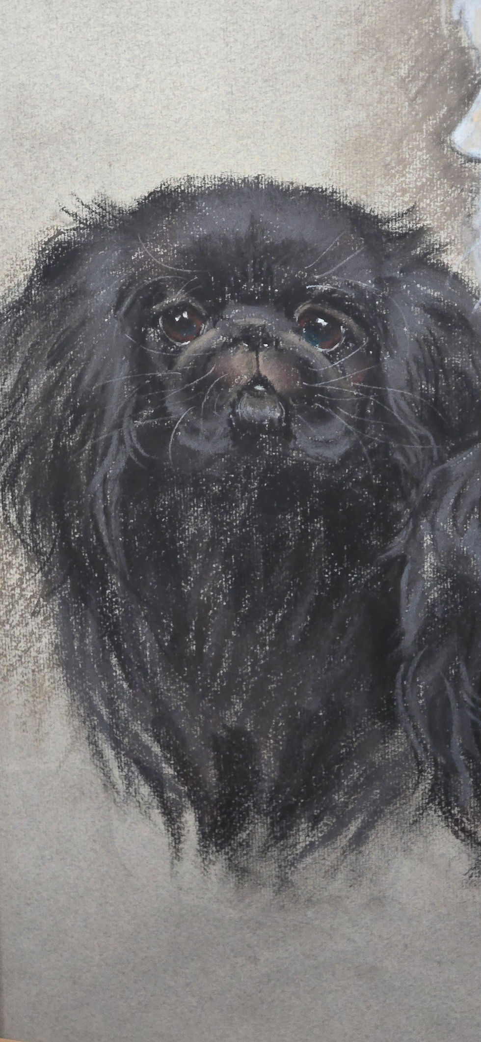 Thumbnail: Vintage Marjorie Cox Pastel Portrait Retriever And Pekingese Dogs Signed 1975