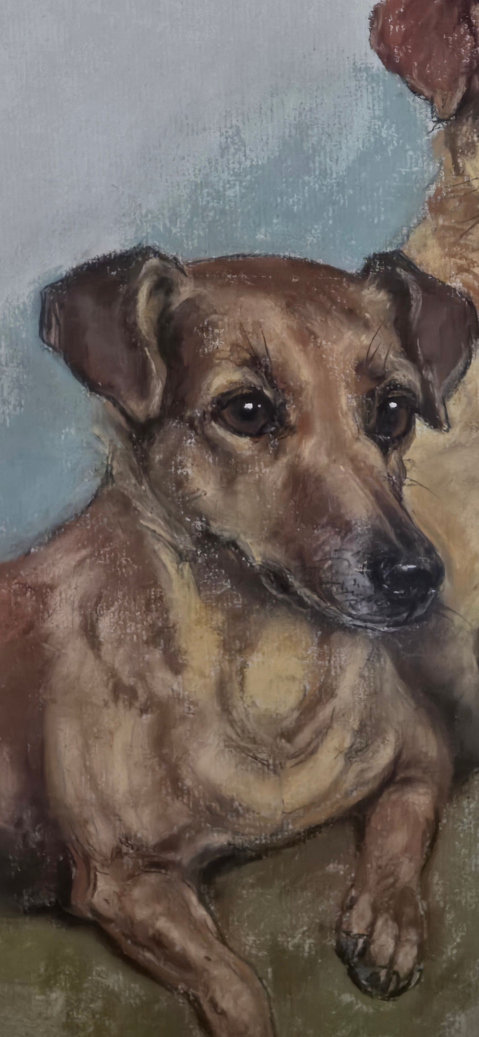 Thumbnail: Vintage Marjorie Cox Pastel Portrait Dachshund Chihuahua Dogs Signed 1974