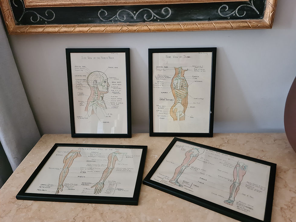 Thumbnail: A Set Of Four Antique Ink & Watercolour Anatomical Drawings Signed C1900 Medical