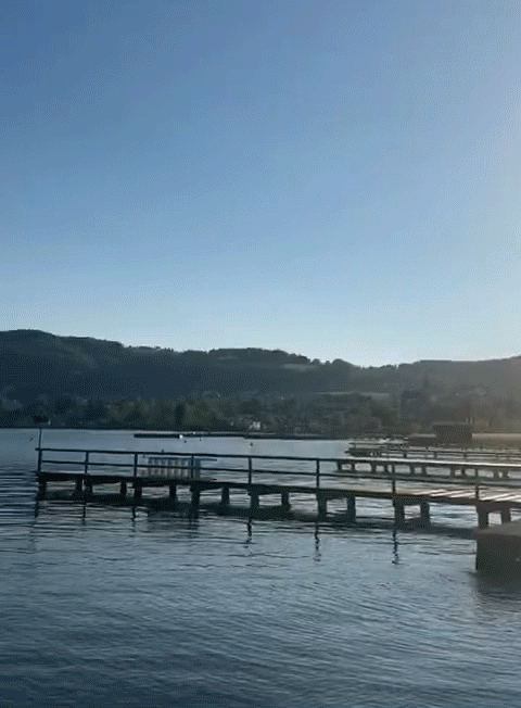 lago.gif