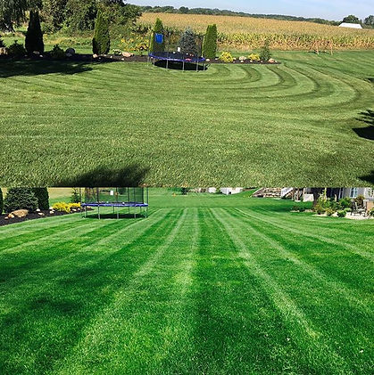 Grass mowed around trampoline