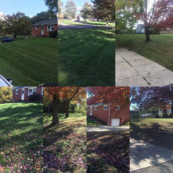 Clean ups keep coming in love it #lawncarelife #yolawnsandlandscaping #ferrismowers #echo770