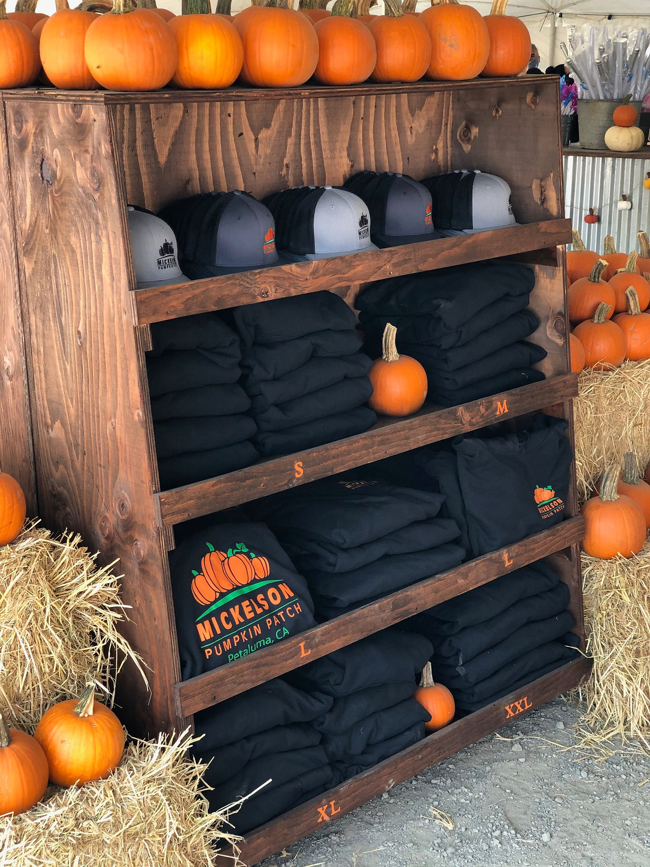 Pumpkin Patch Apparel