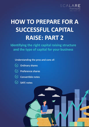 Capital Raising Guide Part 2-page-preview-cover.jpg