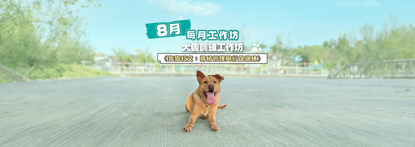 aug Website banner.jpg