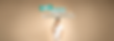 may Website banner.png