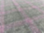 Thumbnail: Brown & Pink Check DORSILKRED By Dormeuil