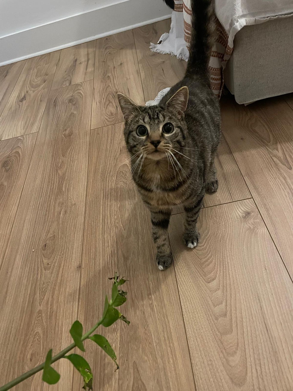 WhatsApp Image 2026-04-16 at 11.26.16 (4).jpeg