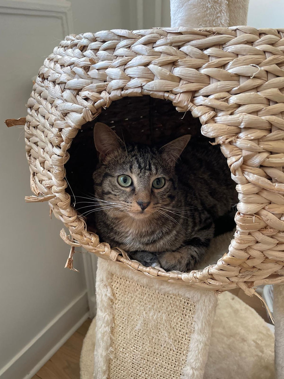 WhatsApp Image 2026-04-16 at 11.26.17.jpeg