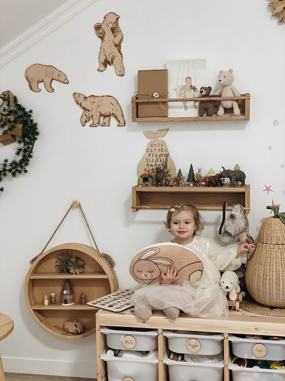 Прев'ю: The bears
