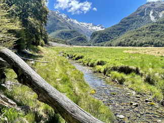 Canyon Creek New Zealand Ahuriri