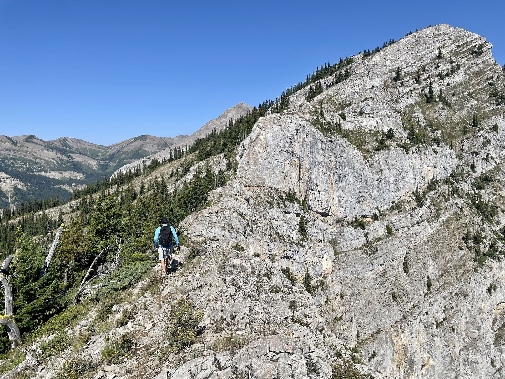 Mount Proctor Loop Trail Hiking Fernie BC