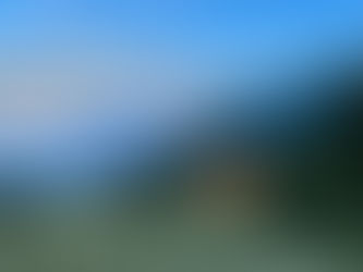 Toaroha Range