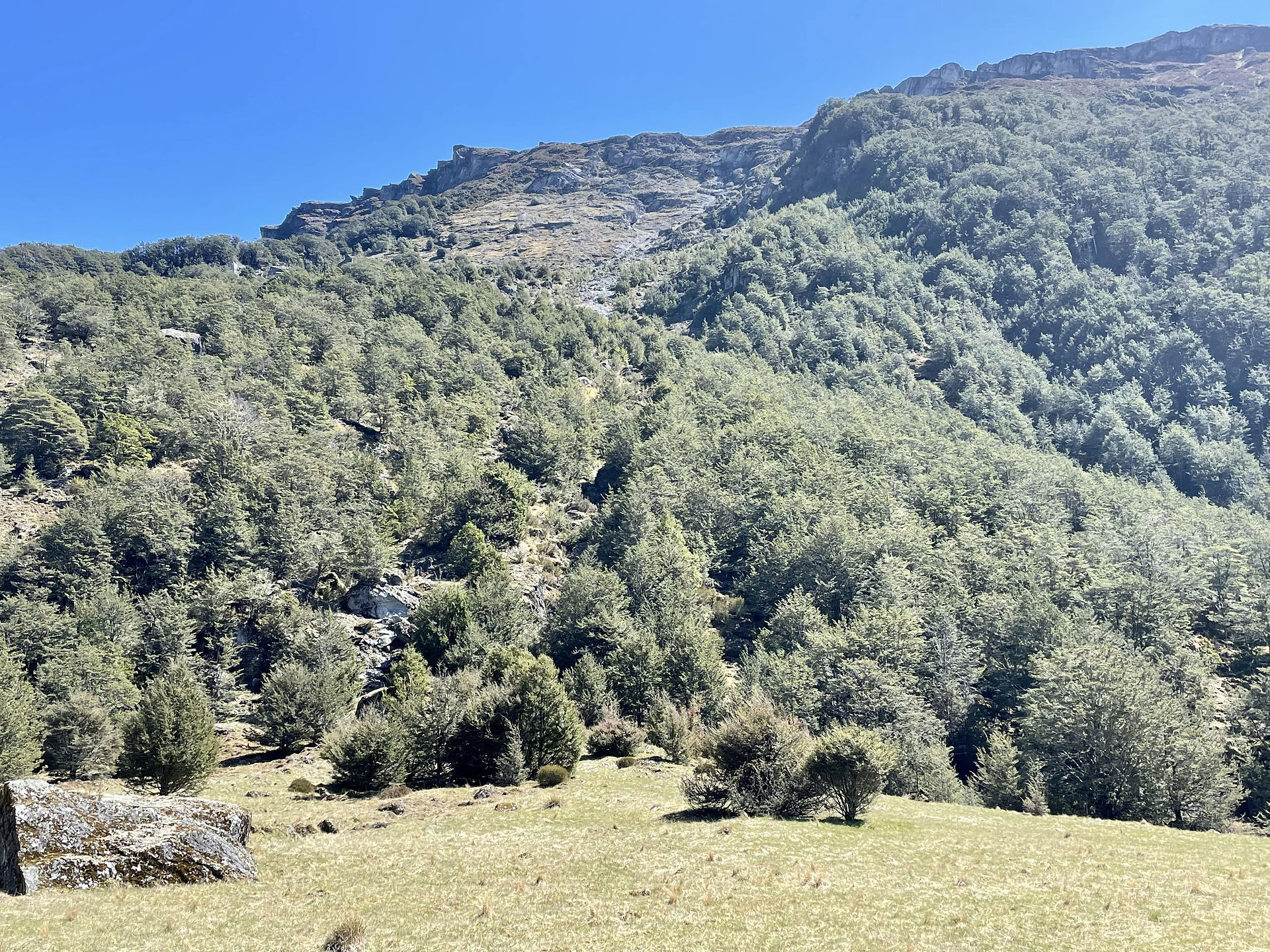 Clarke Slip Mount Aspiring National Park New Zealand