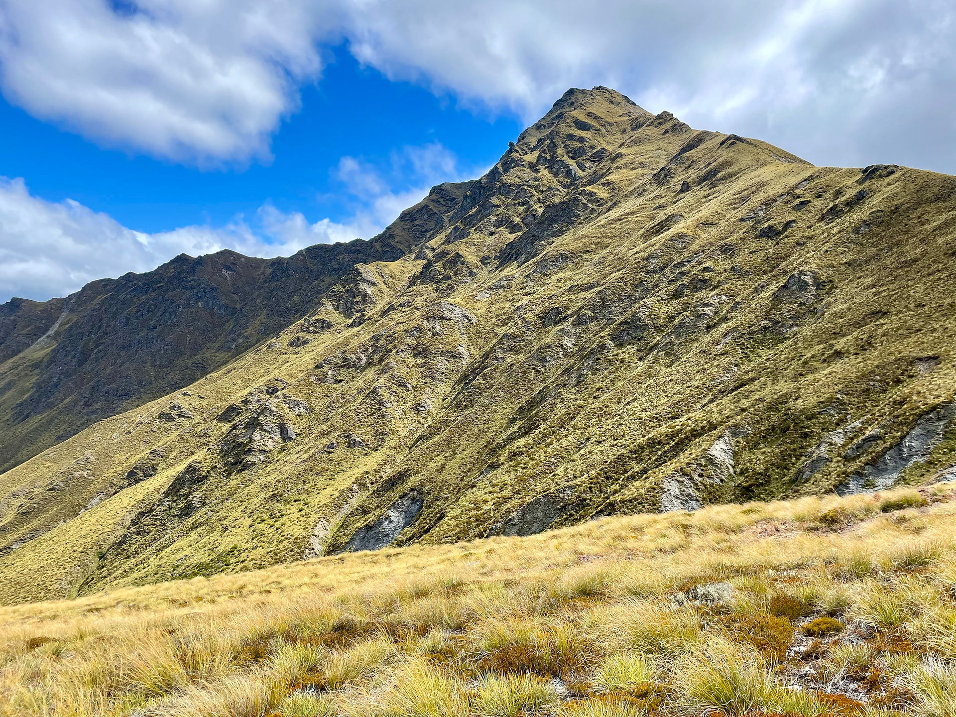 Ben Lomond from the saddle