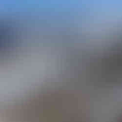 Adam summitting a wind scoured Telluride Peak