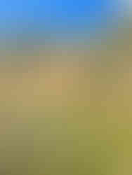 Sharks Tooth Peak Raspberry Flat Parking Lot