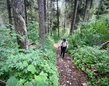 Deanna hiking through forest on the way to Sheep Creek Peak
