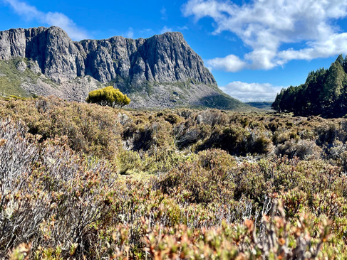 Solomon's Throne & The Temple Route Topo Walls of Jerusalem
