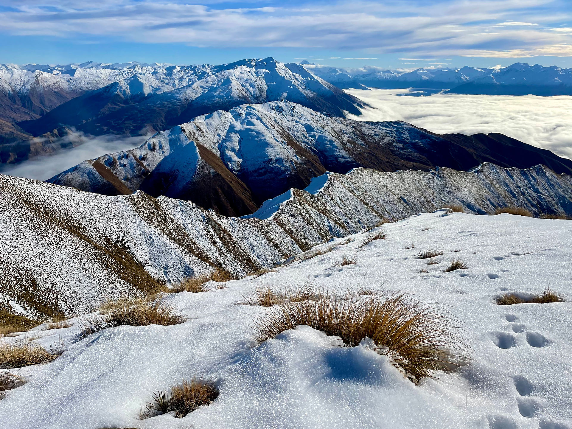 Wanaka and Mount Aspiring
