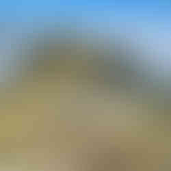 Looking towards Genoa Peak Toaroha Range